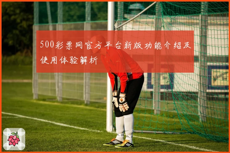 500彩票网官方平台新版功能介绍及使用体验解析