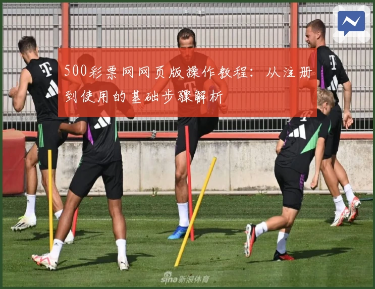 500彩票网网页版操作教程：从注册到使用的基础步骤解析